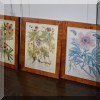 A31. Botanical prints in burlwood frames. 